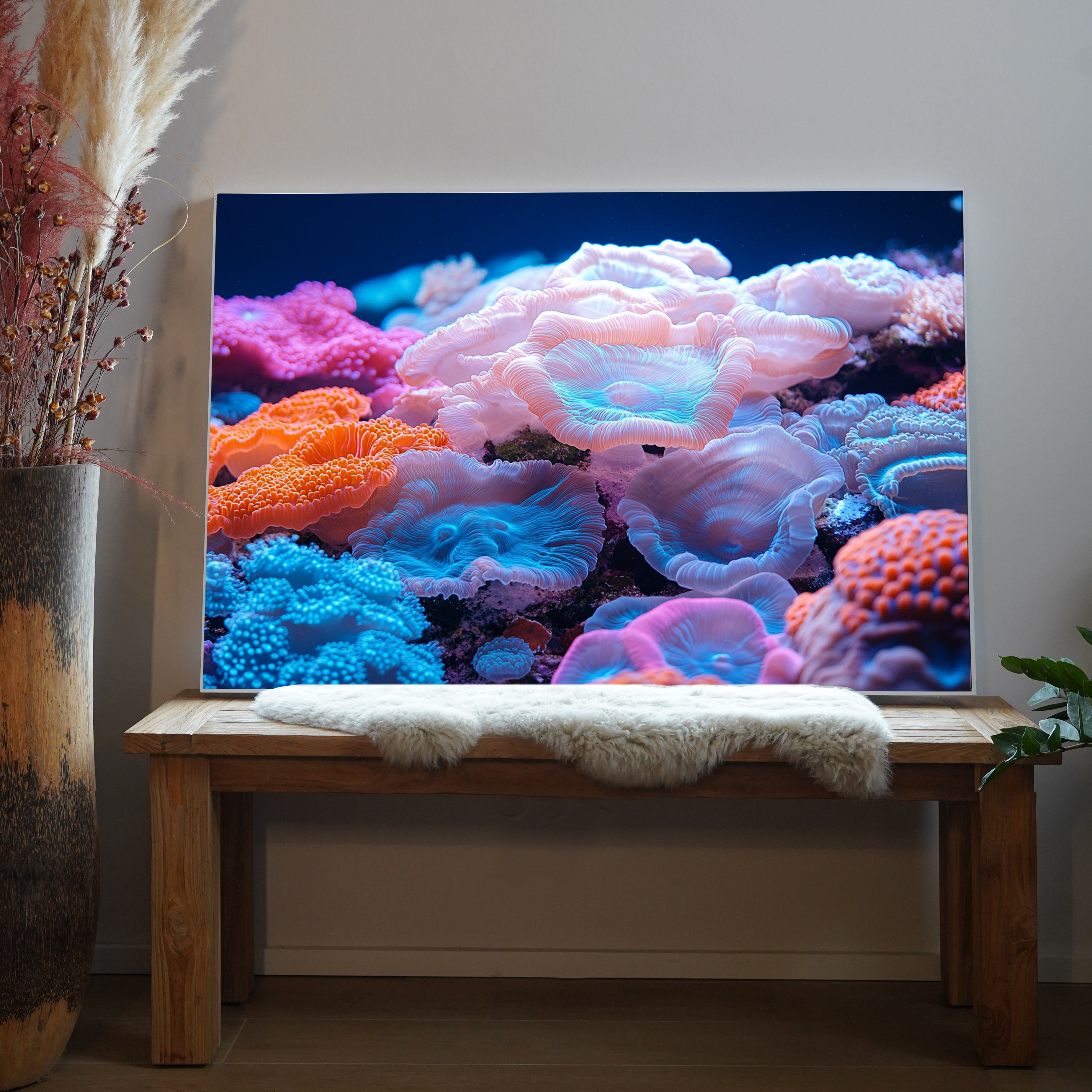 Koralle Bunt 2 | LED Bild