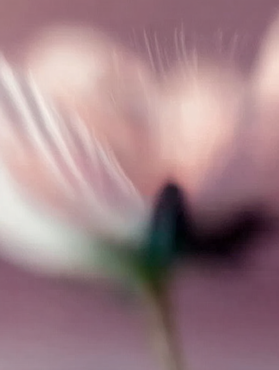 Blume Verschwommen 3 | LED Bild