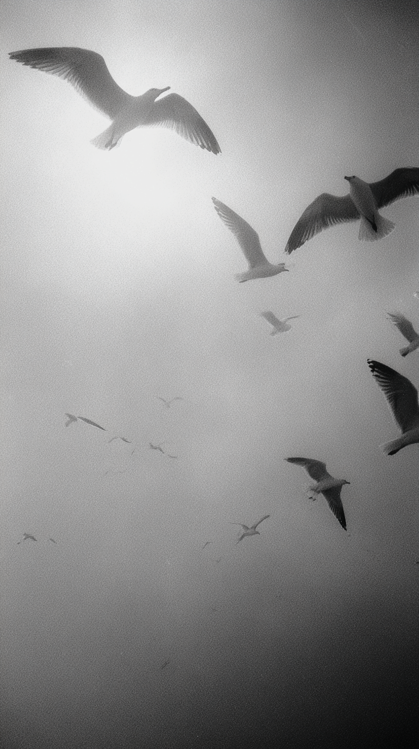 Möwen Verschwommen 1 | LED Bild