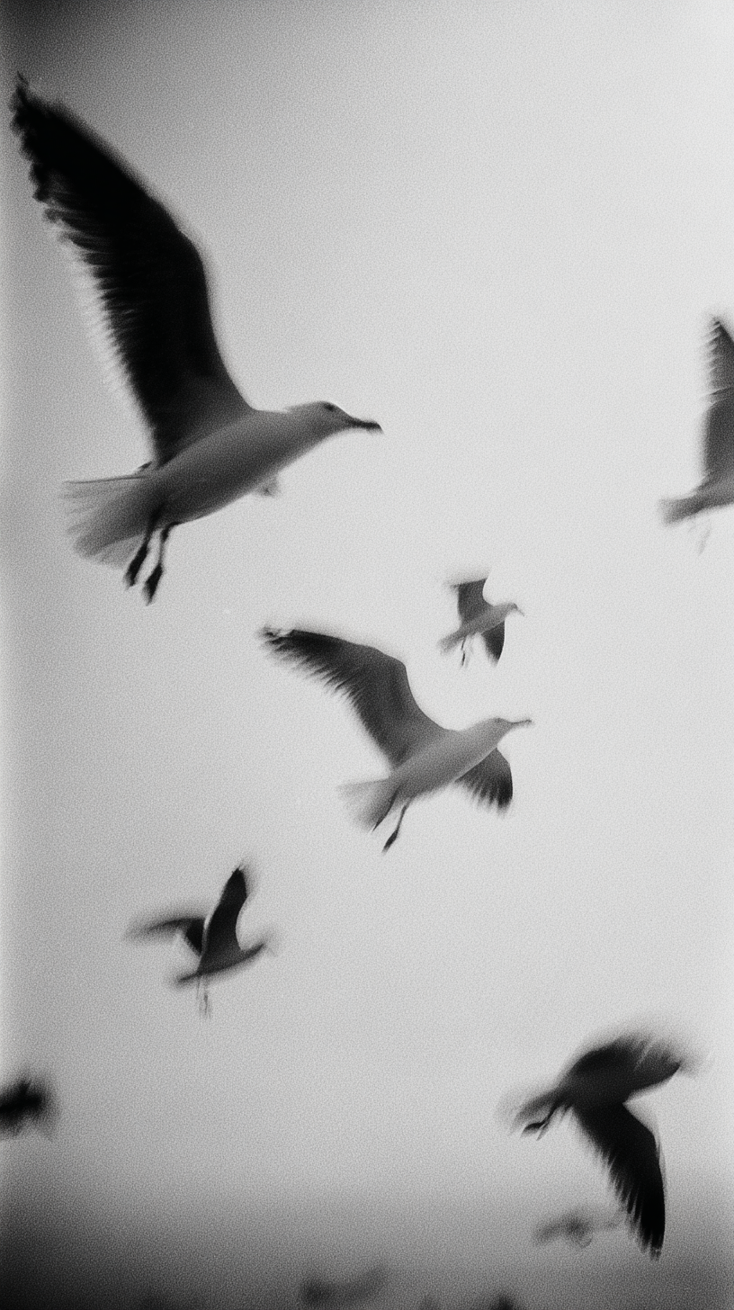 Möwen Verschwommen 2 | LED Bild