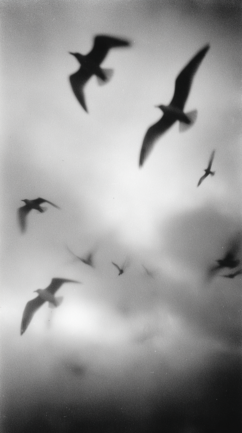 Möwen Verschwommen 3 | LED Bild