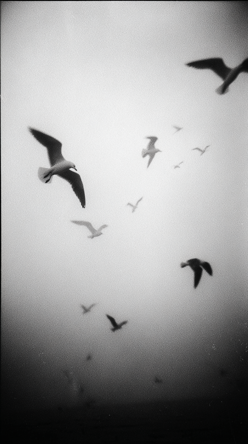 Möwen Verschwommen 4 | LED Bild