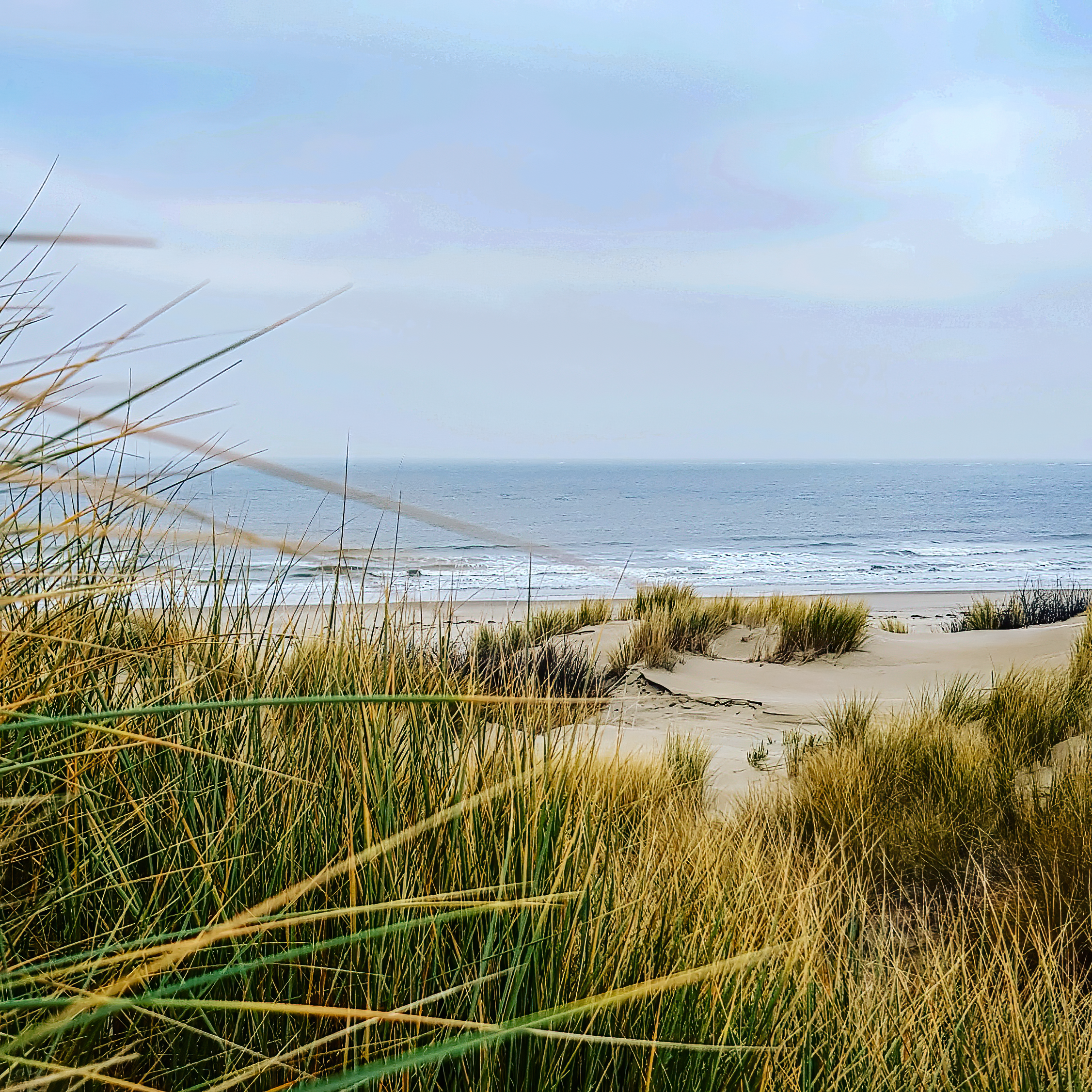 Duenemeer im Fruehling | Daniel Wilms | LED Bild