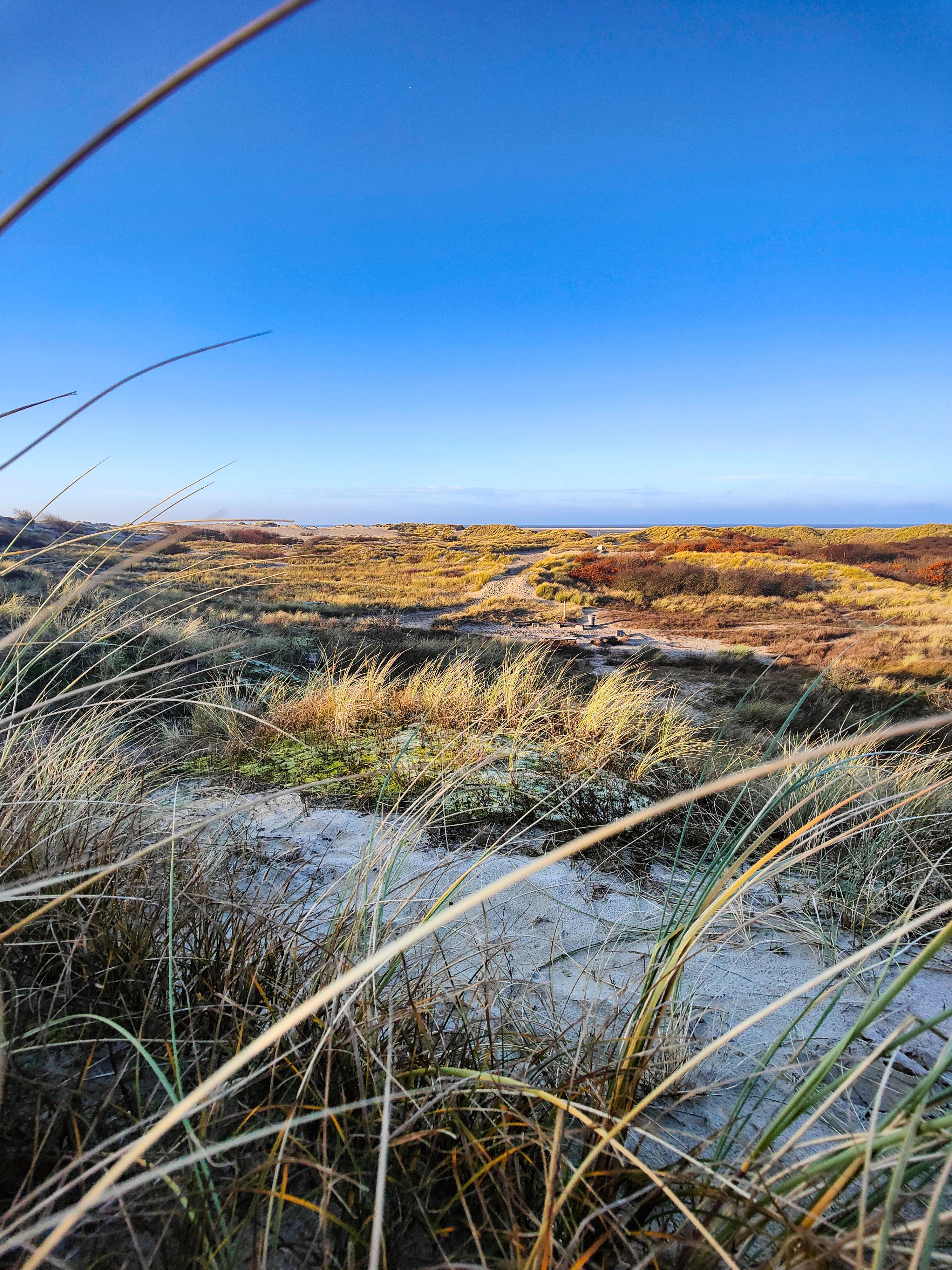 Duenengras | Daniel Wilms | LED Bild