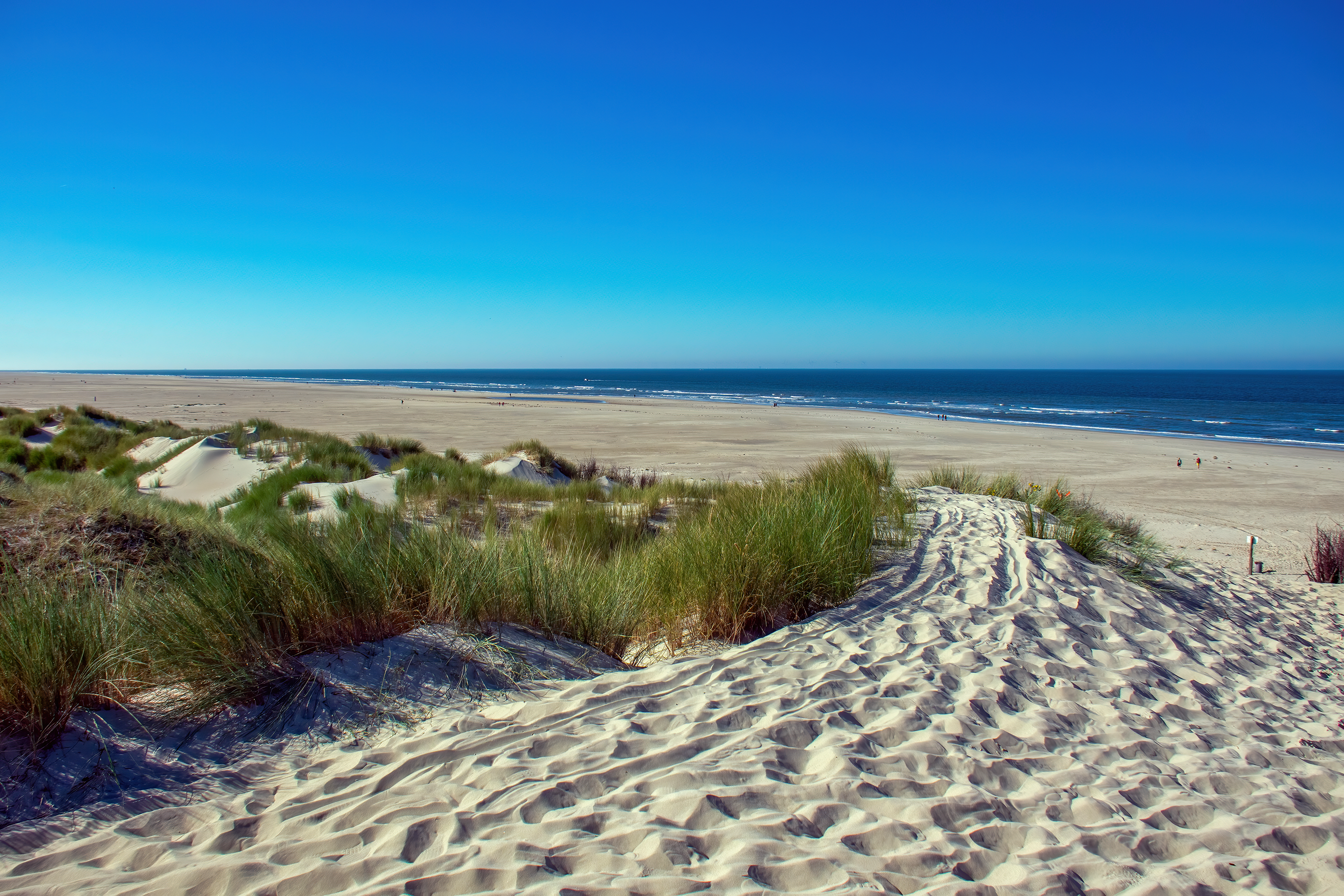 Duenengras 3 | Daniel Wilms | LED Bild