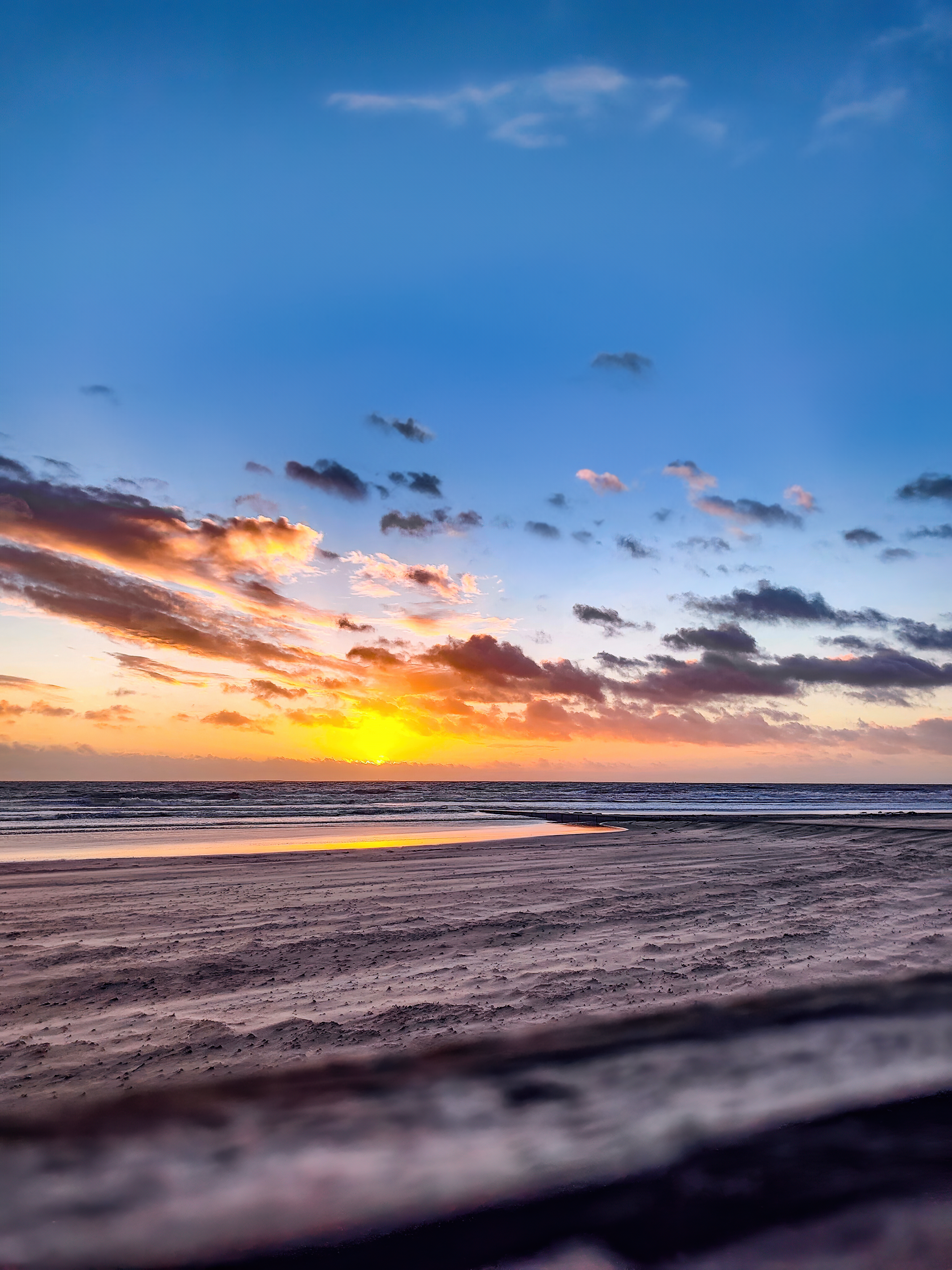 Windig | Daniel Wilms | LED Bild