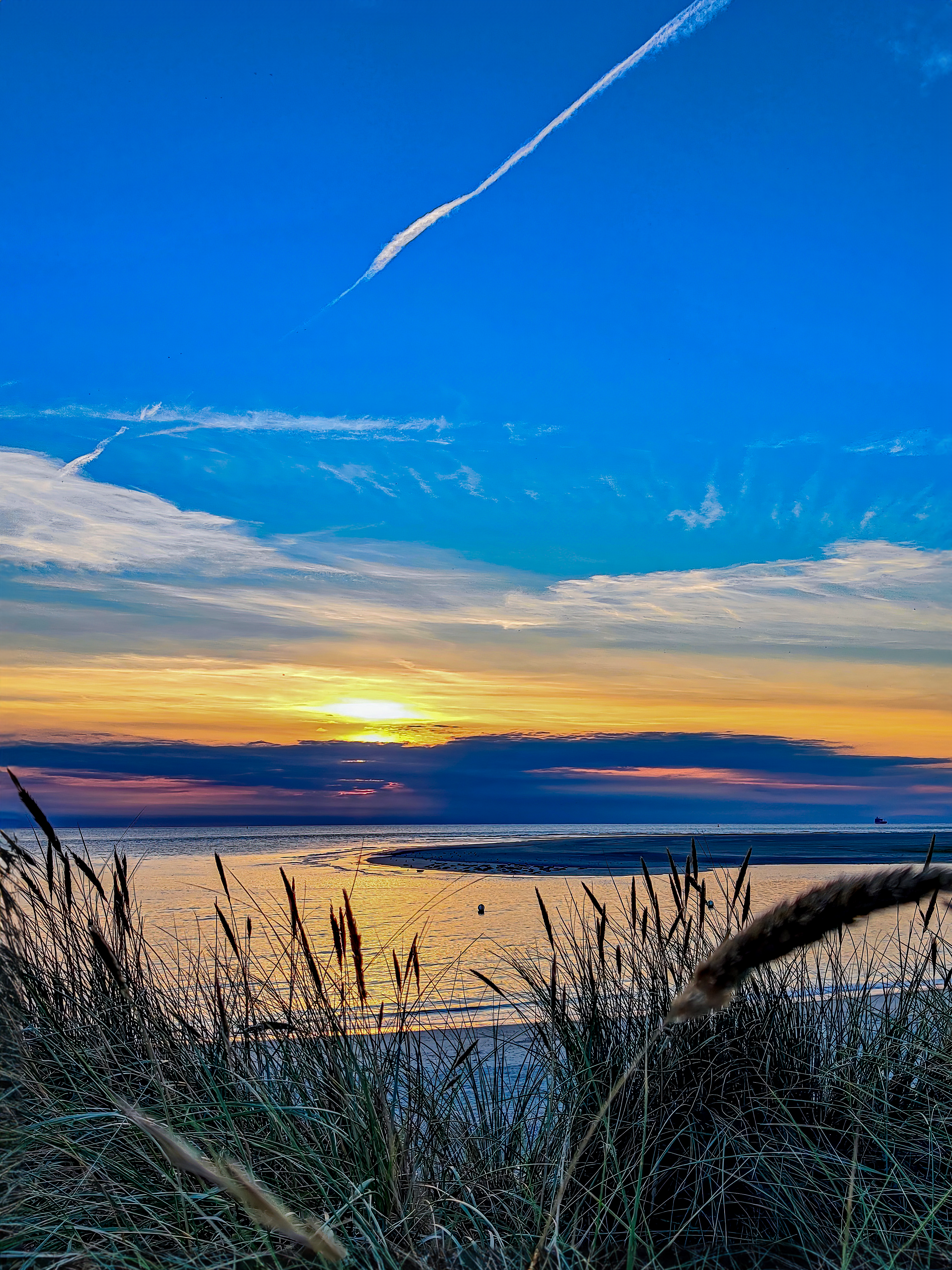 Farbenfroh | Daniel Wilms | LED Bild