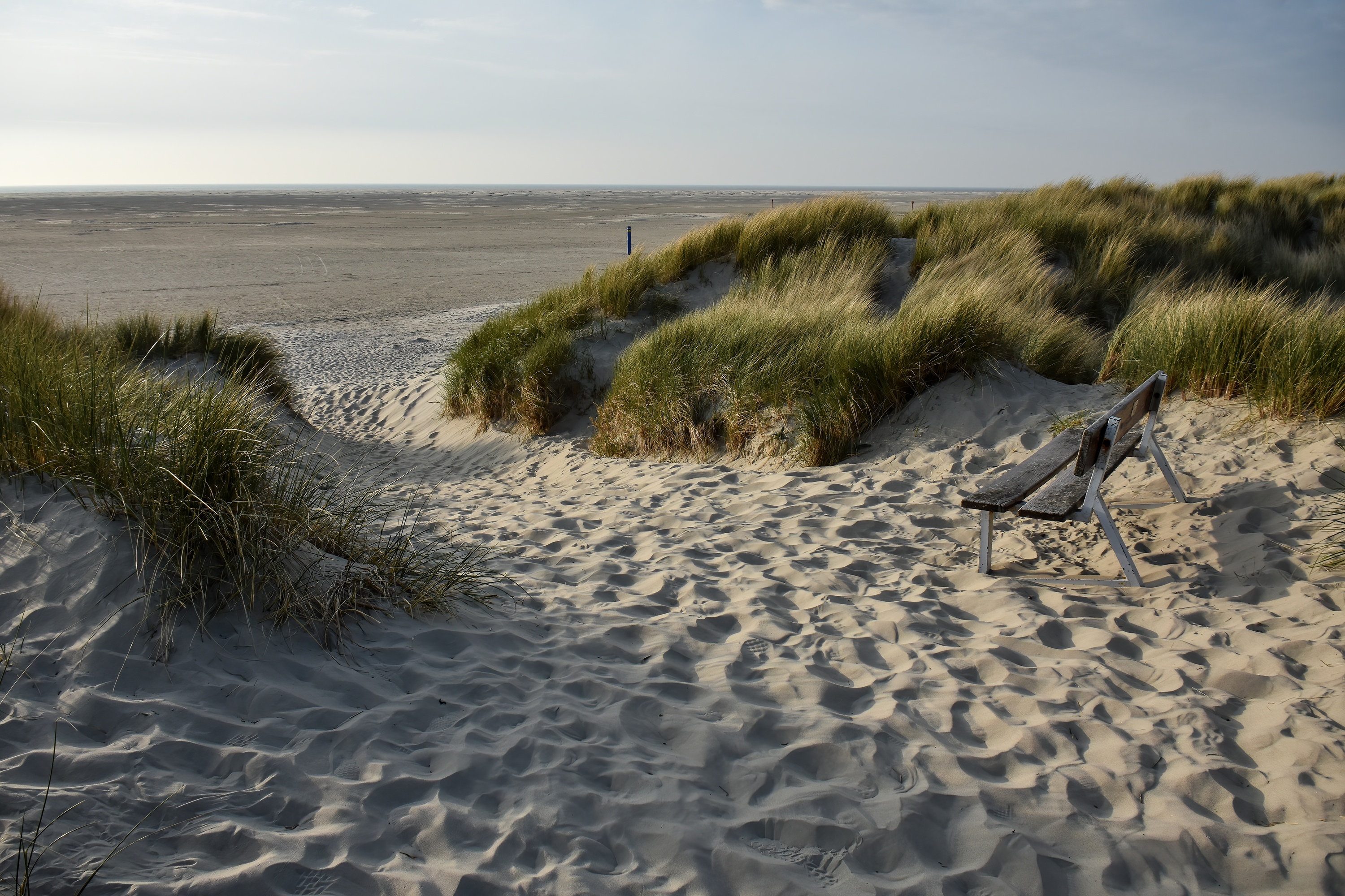 Auszeit | Daniel Wilms | LED Bild