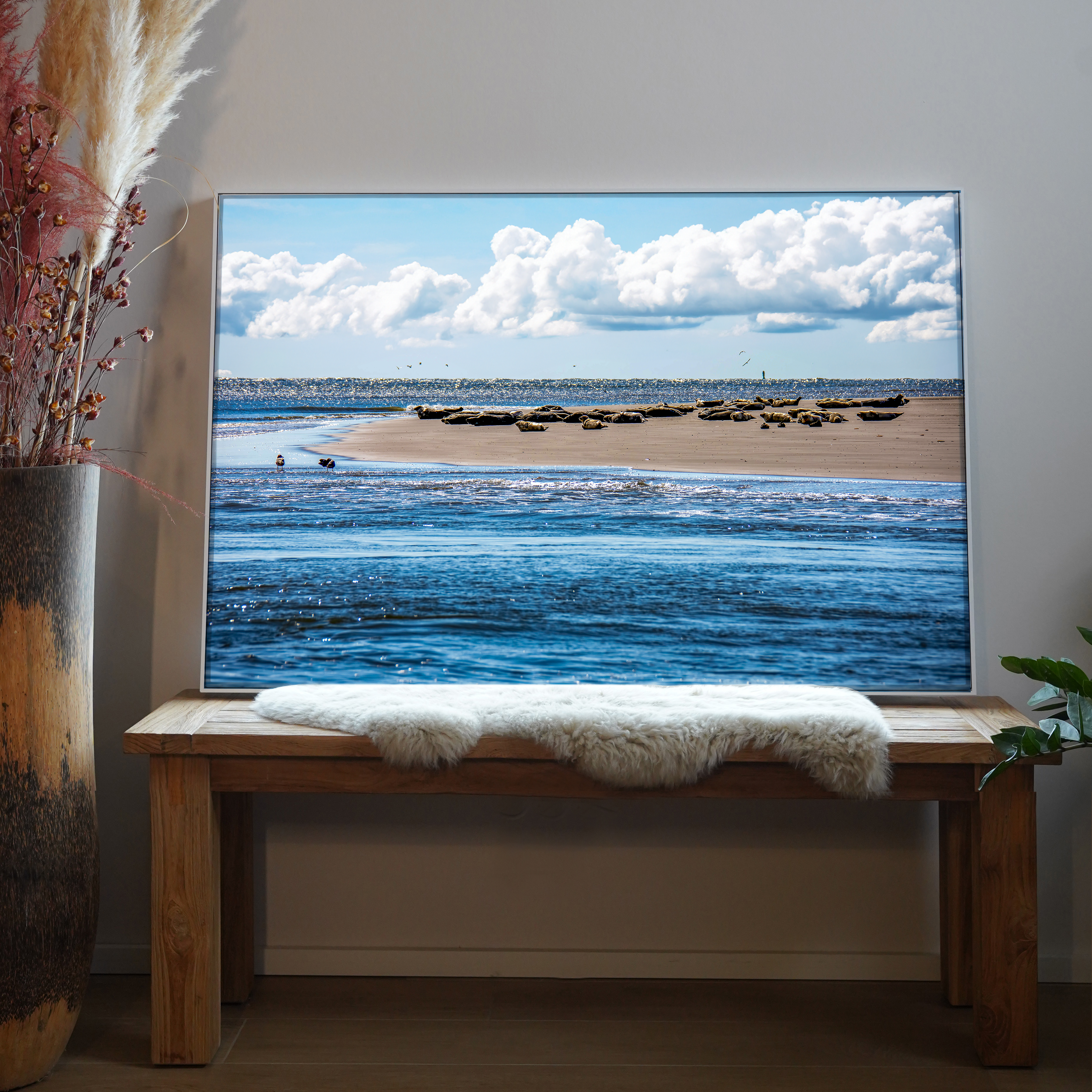 Seehundsbank | Daniel Wilms | LED Bild