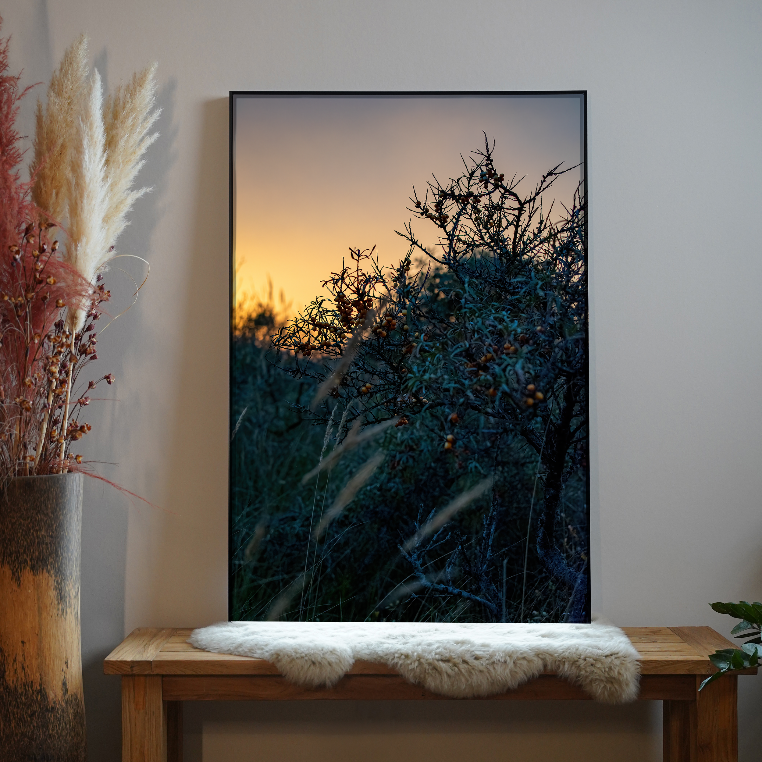 Sanddornstrauch | Daniel Wilms | LED Bild