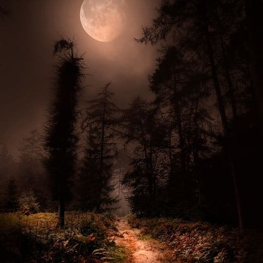 Michael Schulte | moonlight 03 | LED Bild