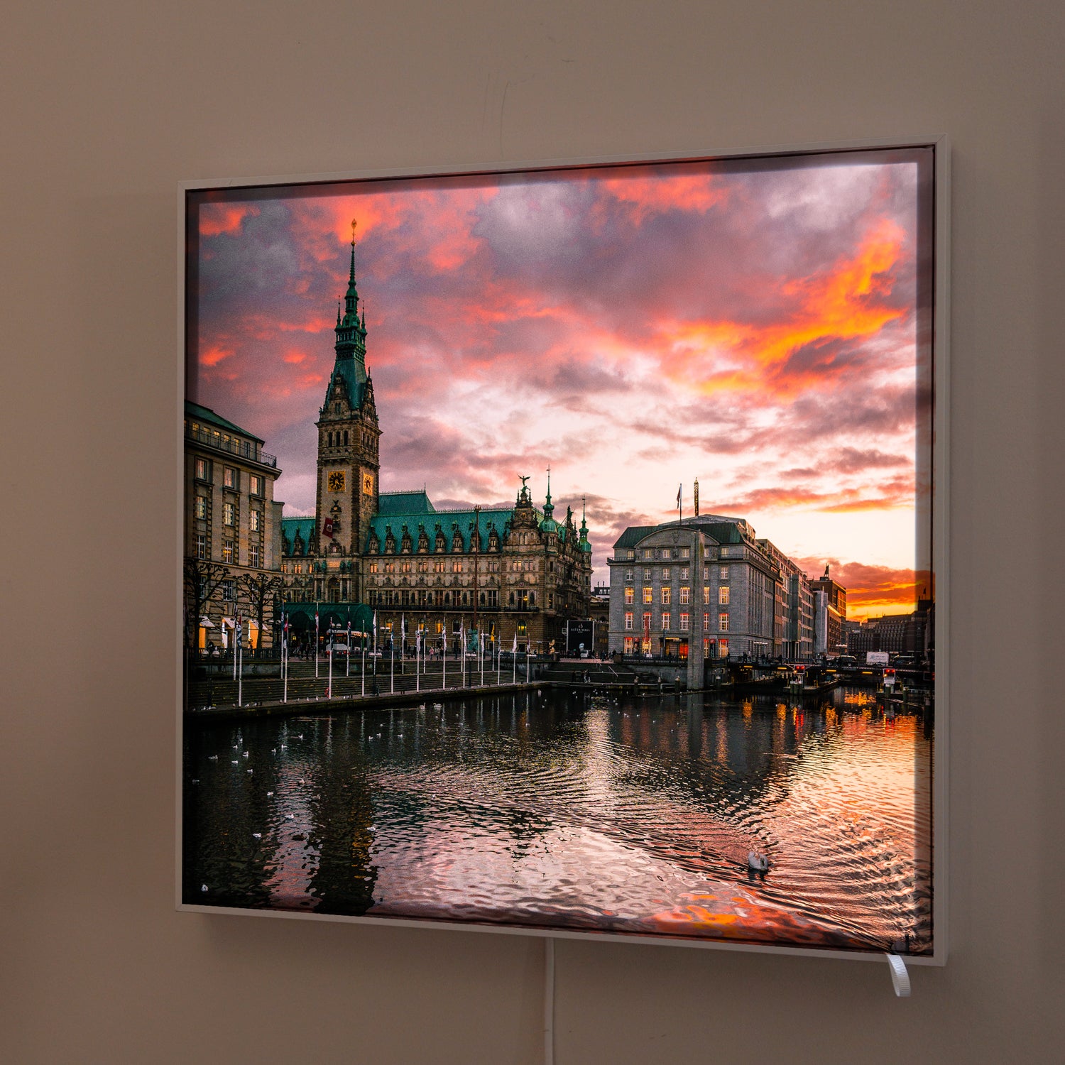 Alexander Losch | Rathaus Hamburg | LED Bild