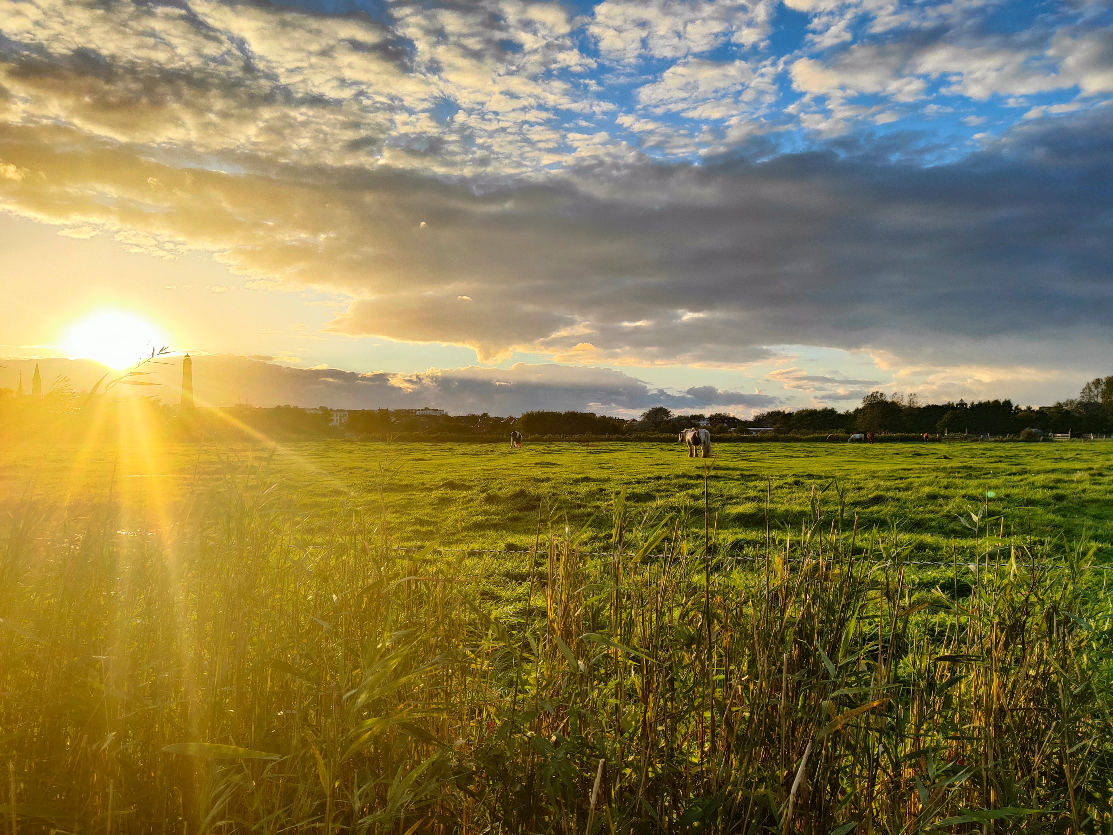 Entspannung | Daniel Wilms | LED Bild