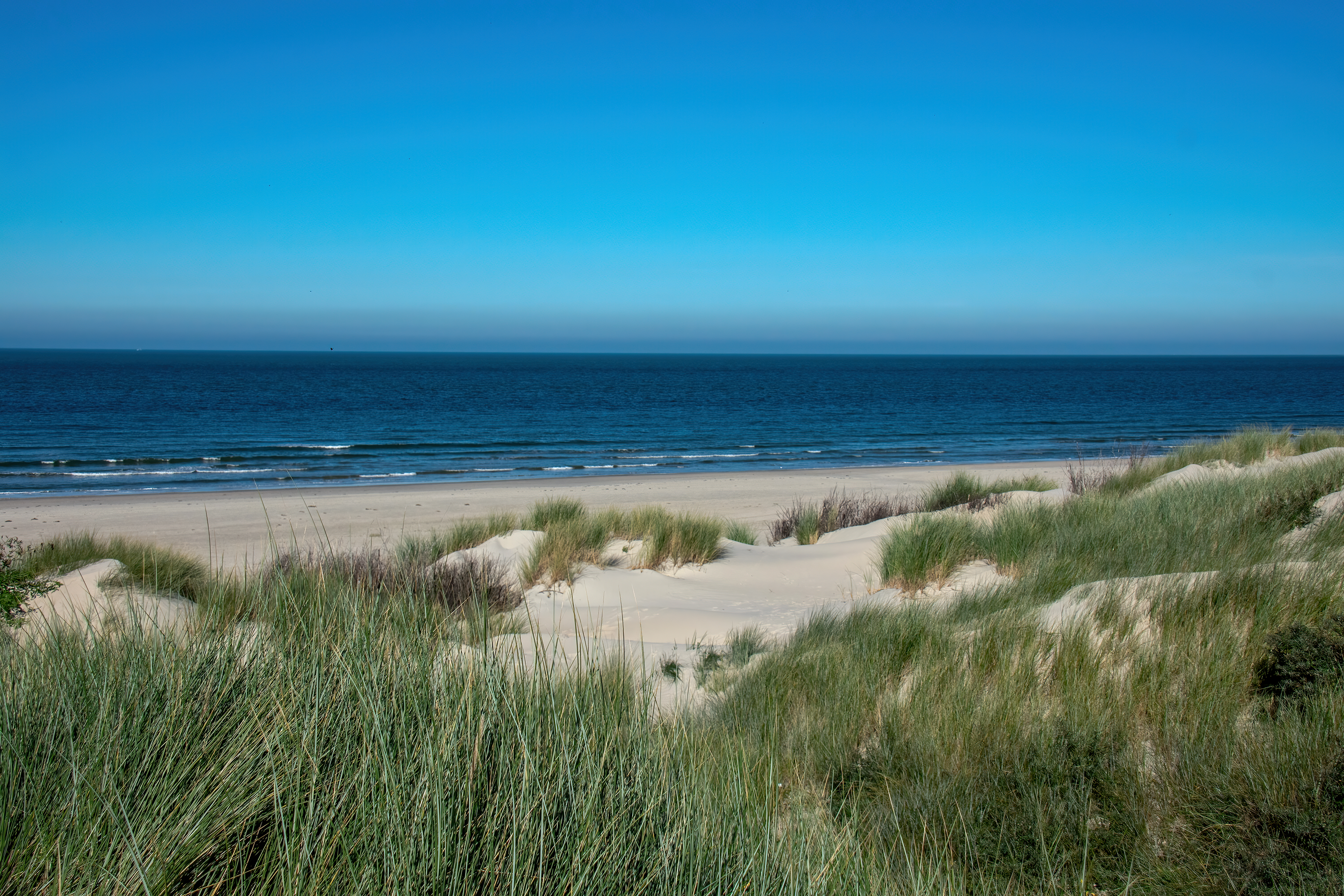 Duenengras 2 | Daniel Wilms | LED Bild