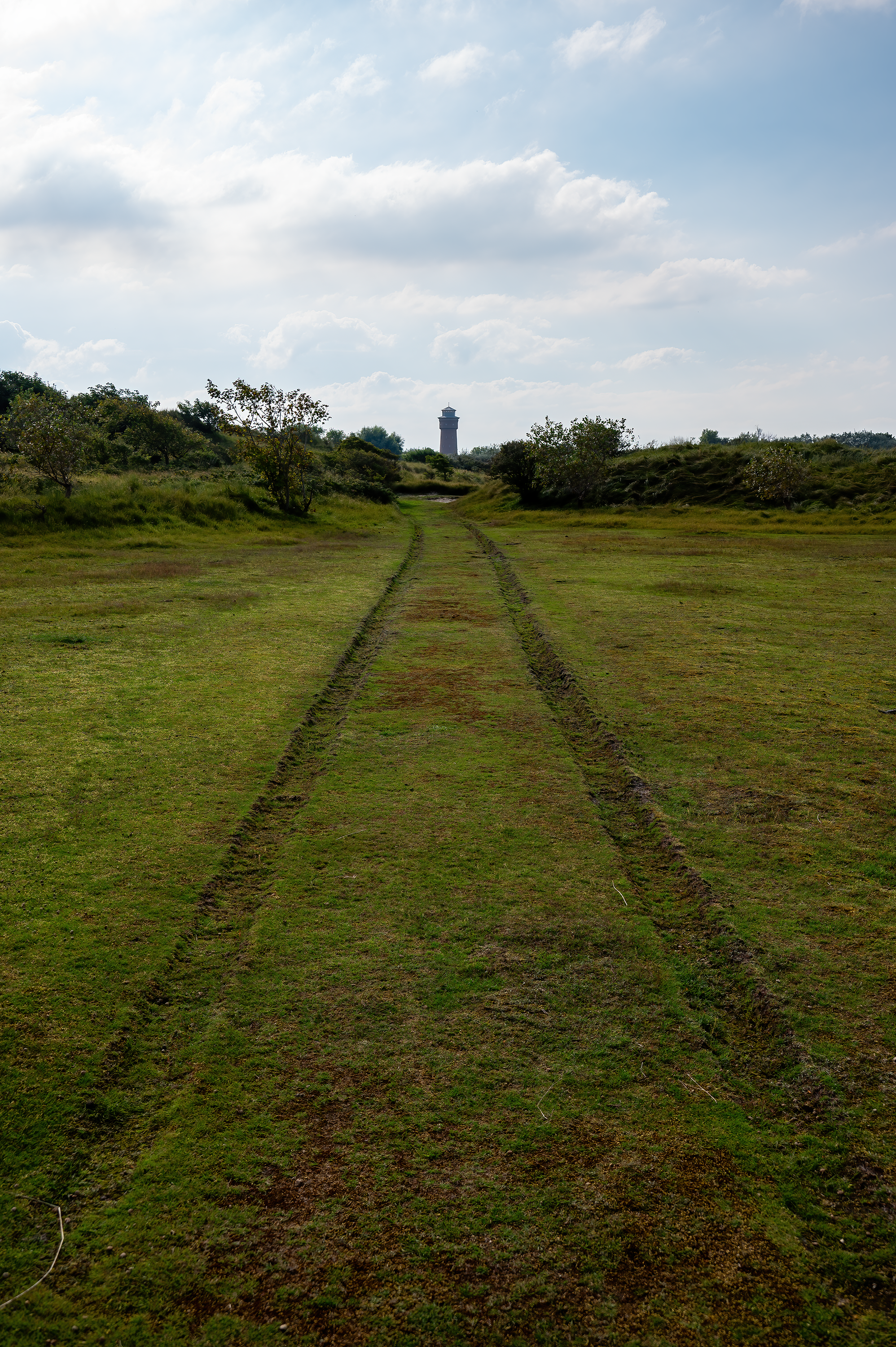 Feldweg | Daniel Wilms | LED Bild