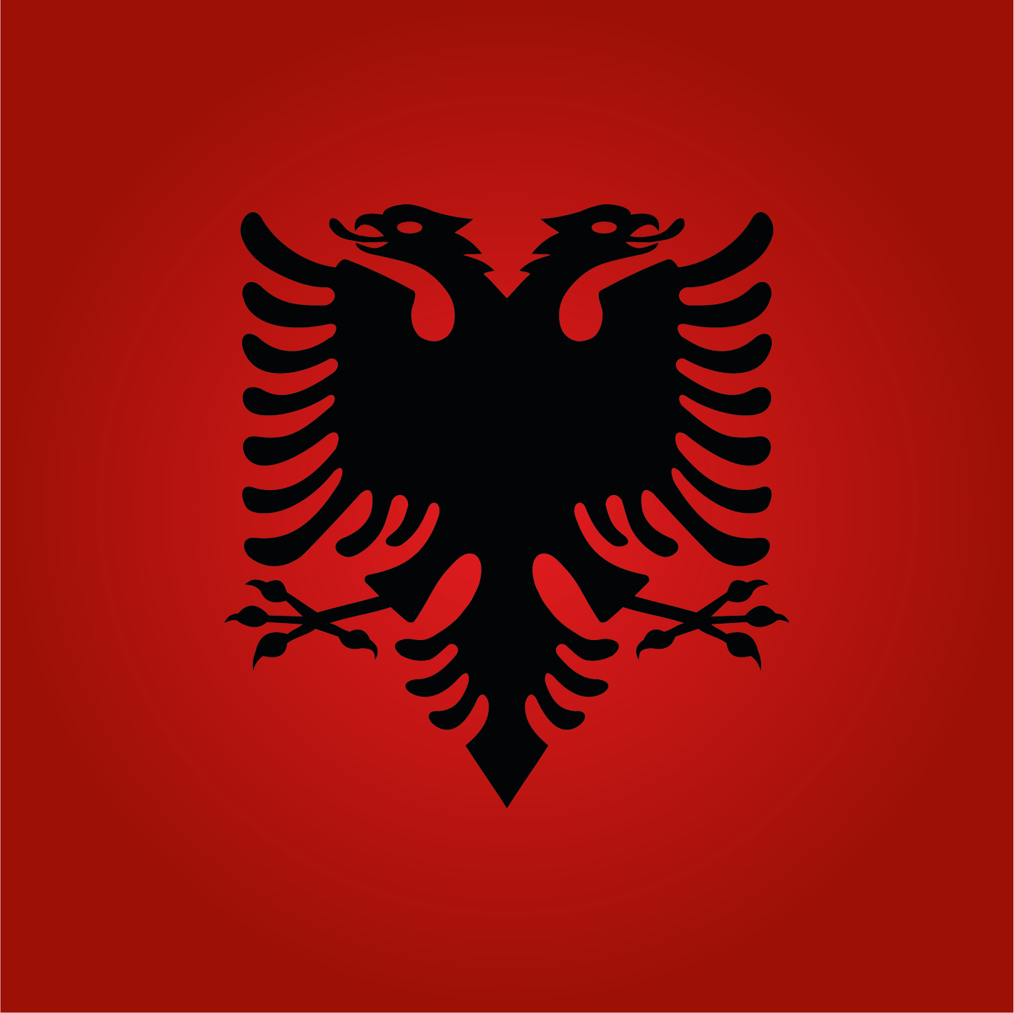 EM Albanien | LED Bild