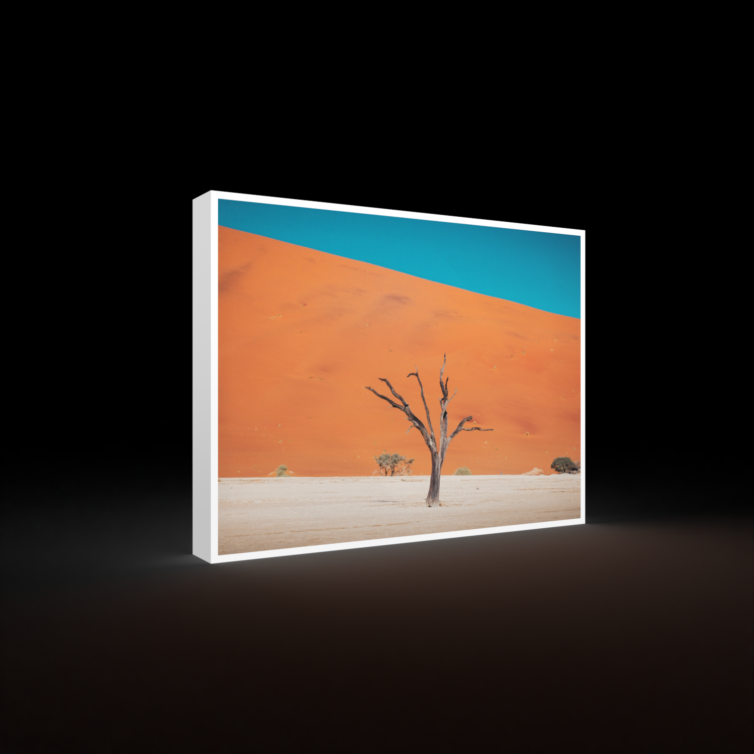 Katharina Illich | Dead Vlei | LED Bild