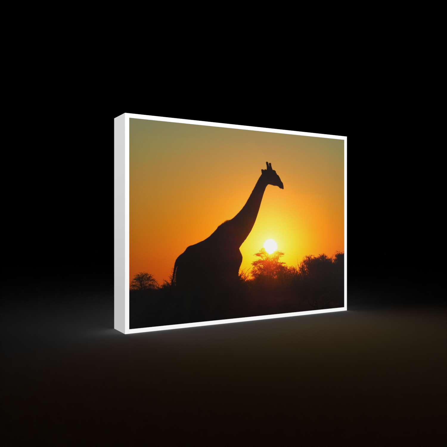 Katharina Illich | Giraffe Sonnenuntergang | LED Bild