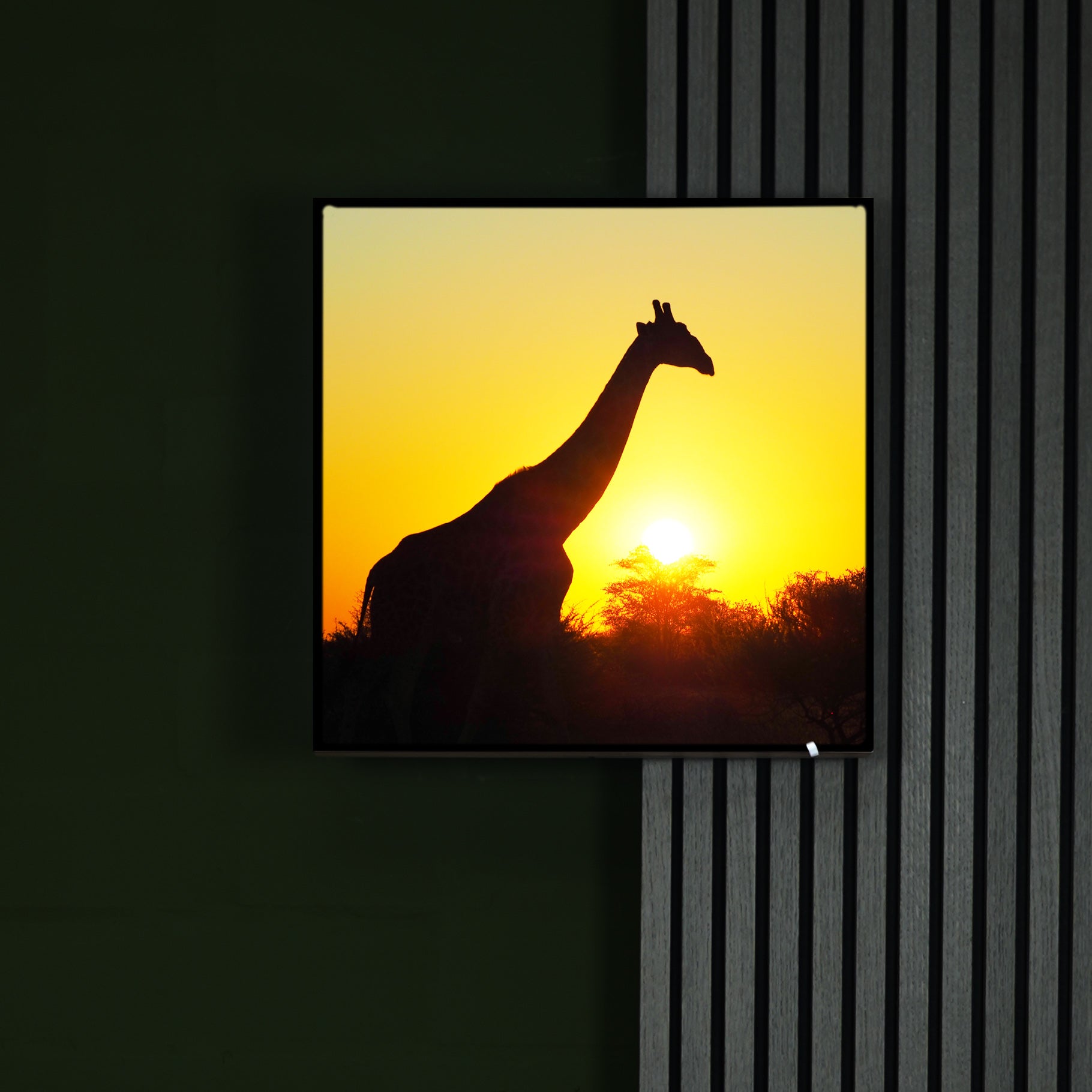 Katharina Illich | Giraffe Sonnenuntergang | LED Bild