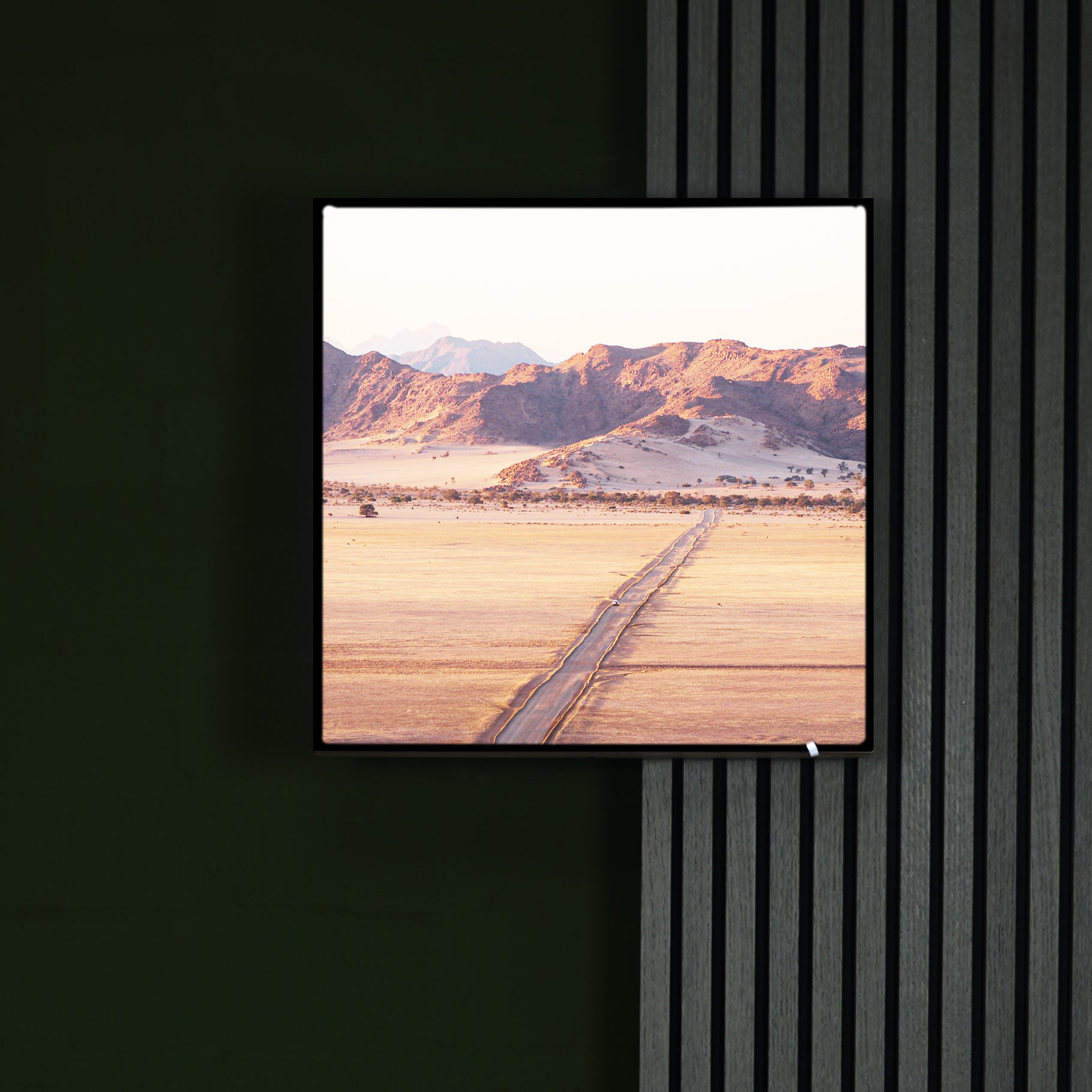 Katharina Illich | Landschaft Namibia | LED Bild