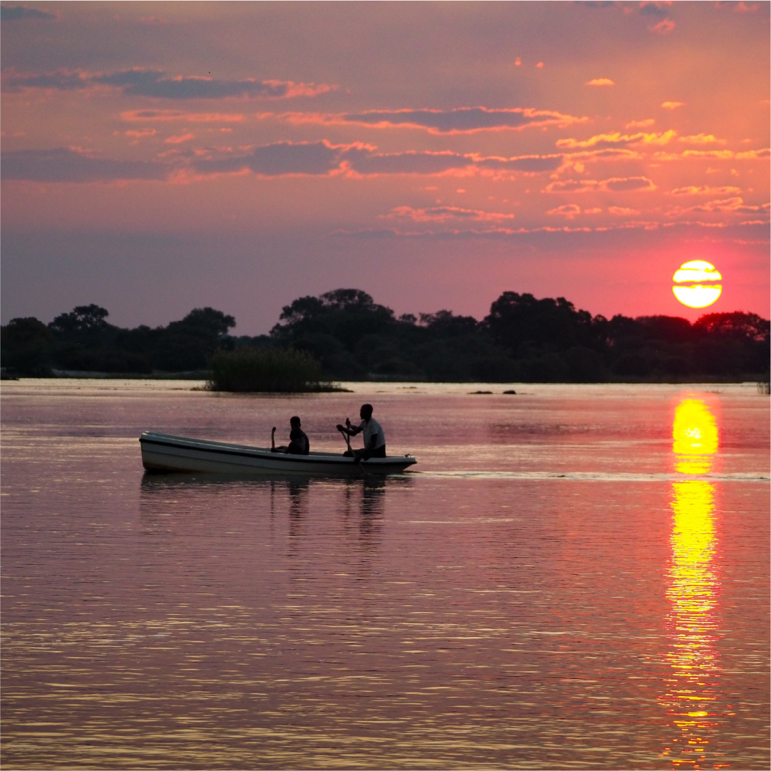 Katharina Illich | Okavango River | LED Bild