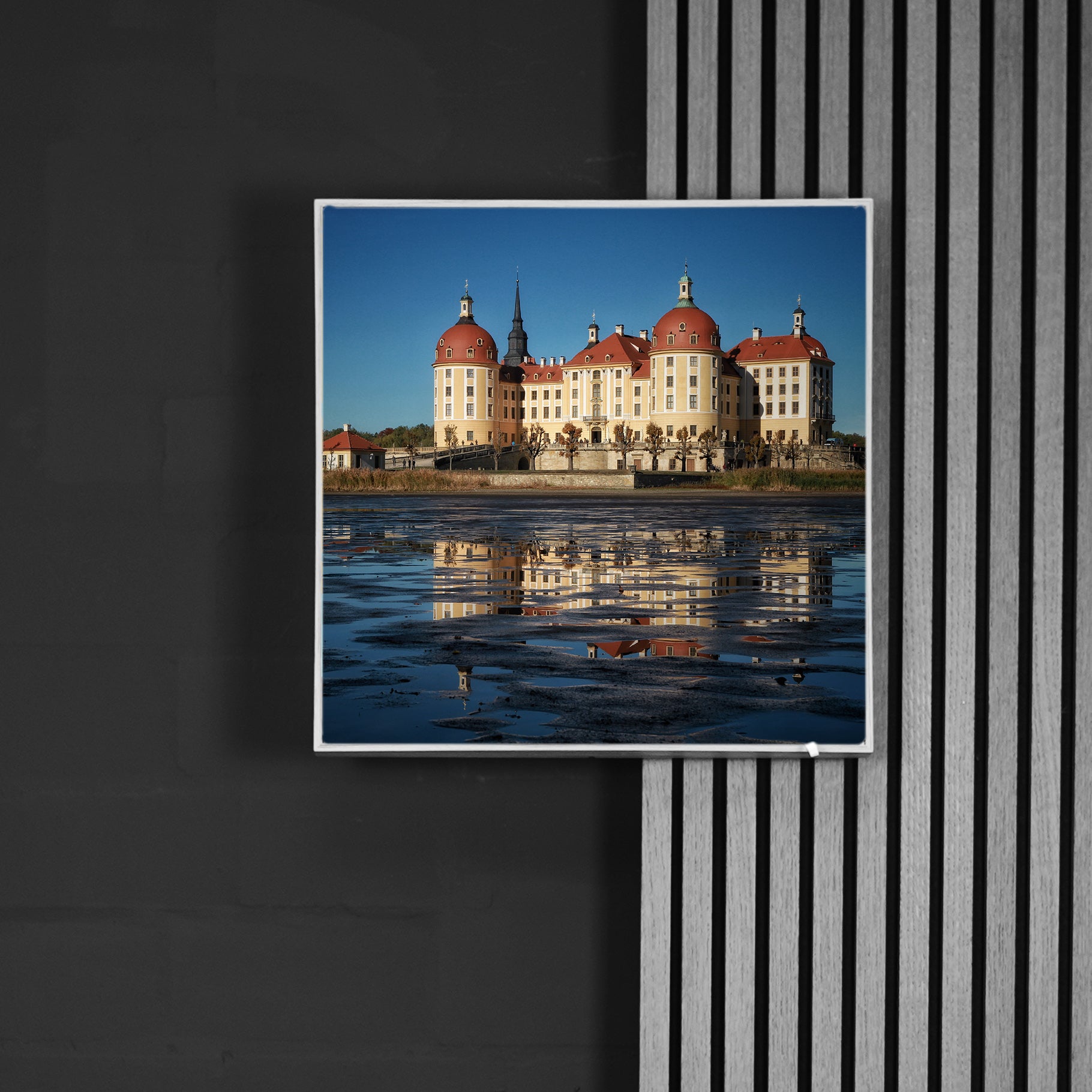 Rico Fröhner | Schloss Moritzburg | LED Bild