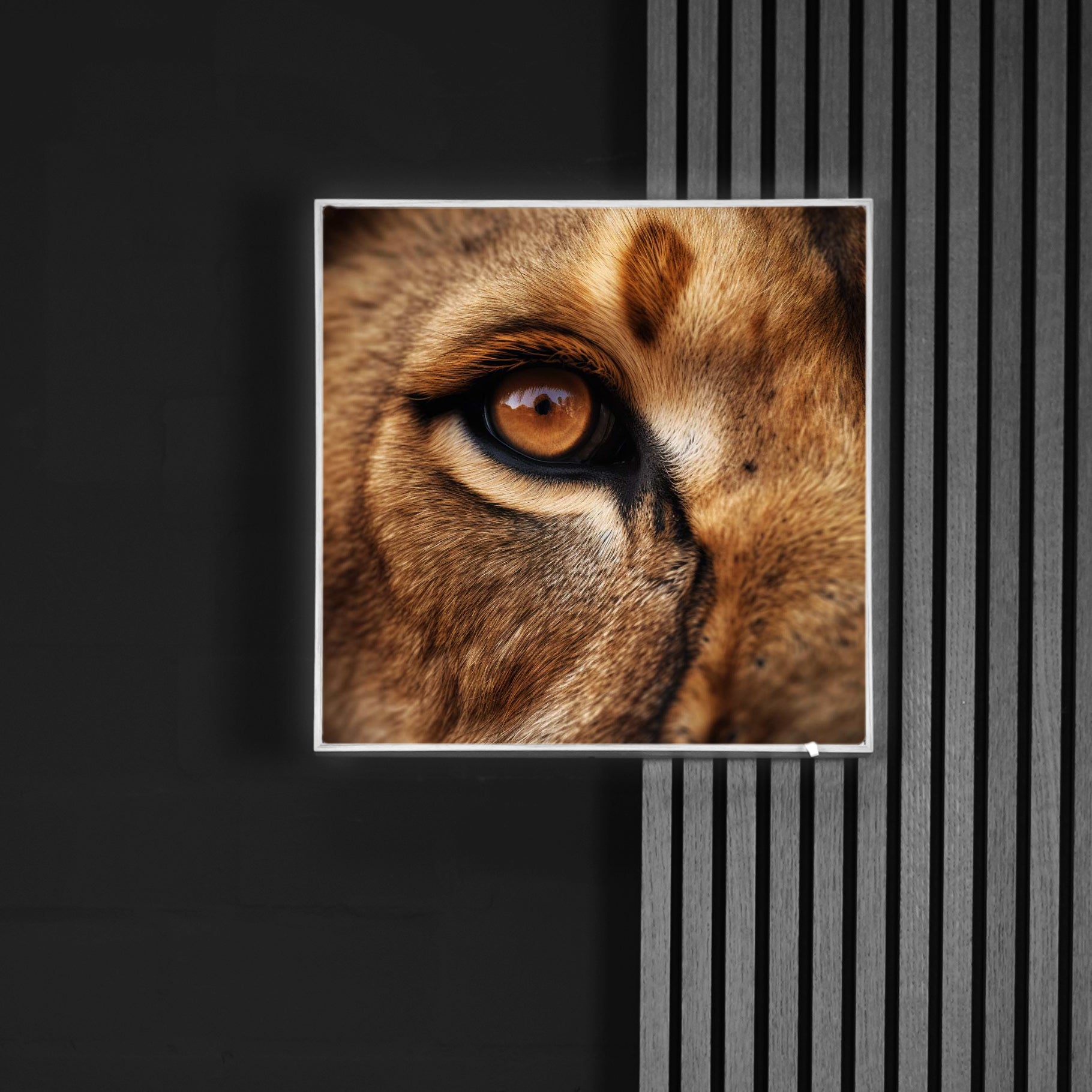 Löwenauge | LED Bild