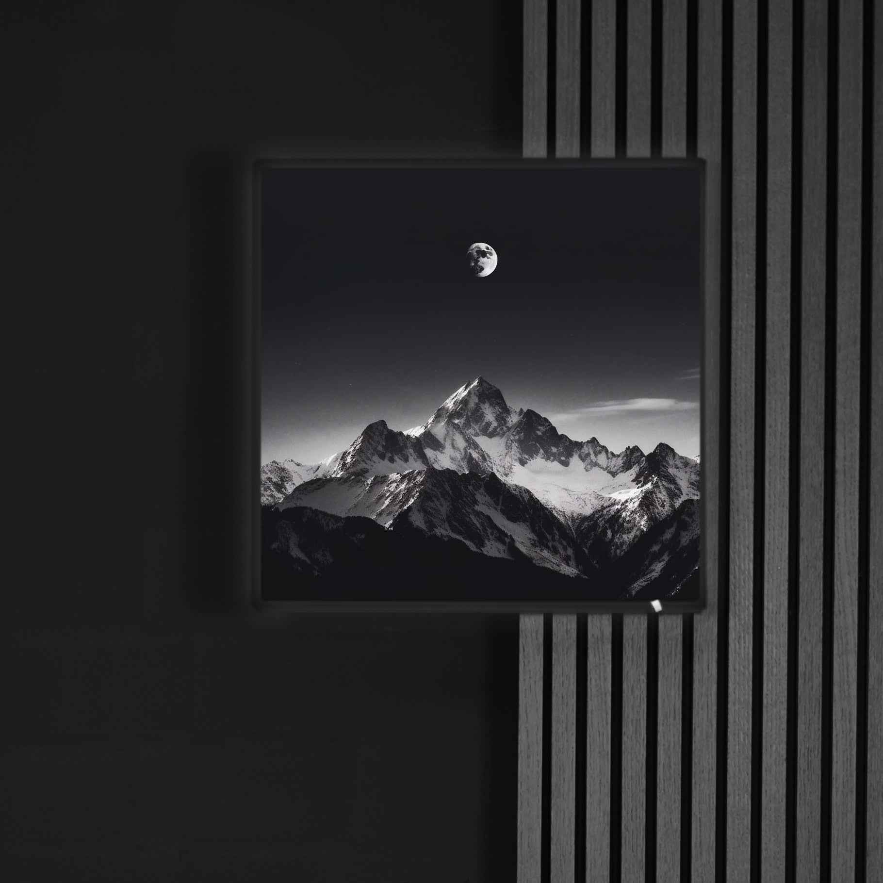 Black Moonshine | LED Bild