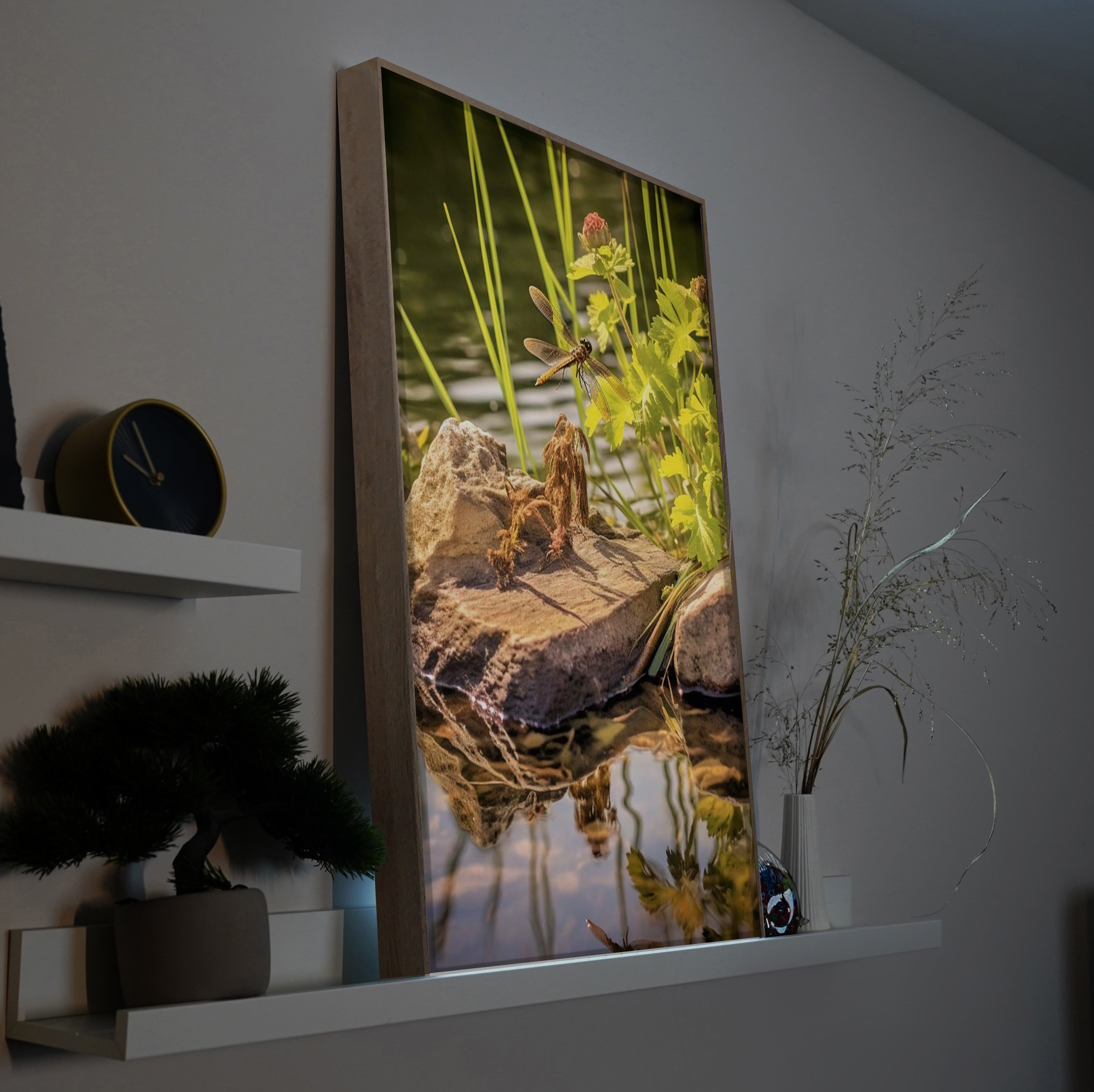 Libelle | LED Bild