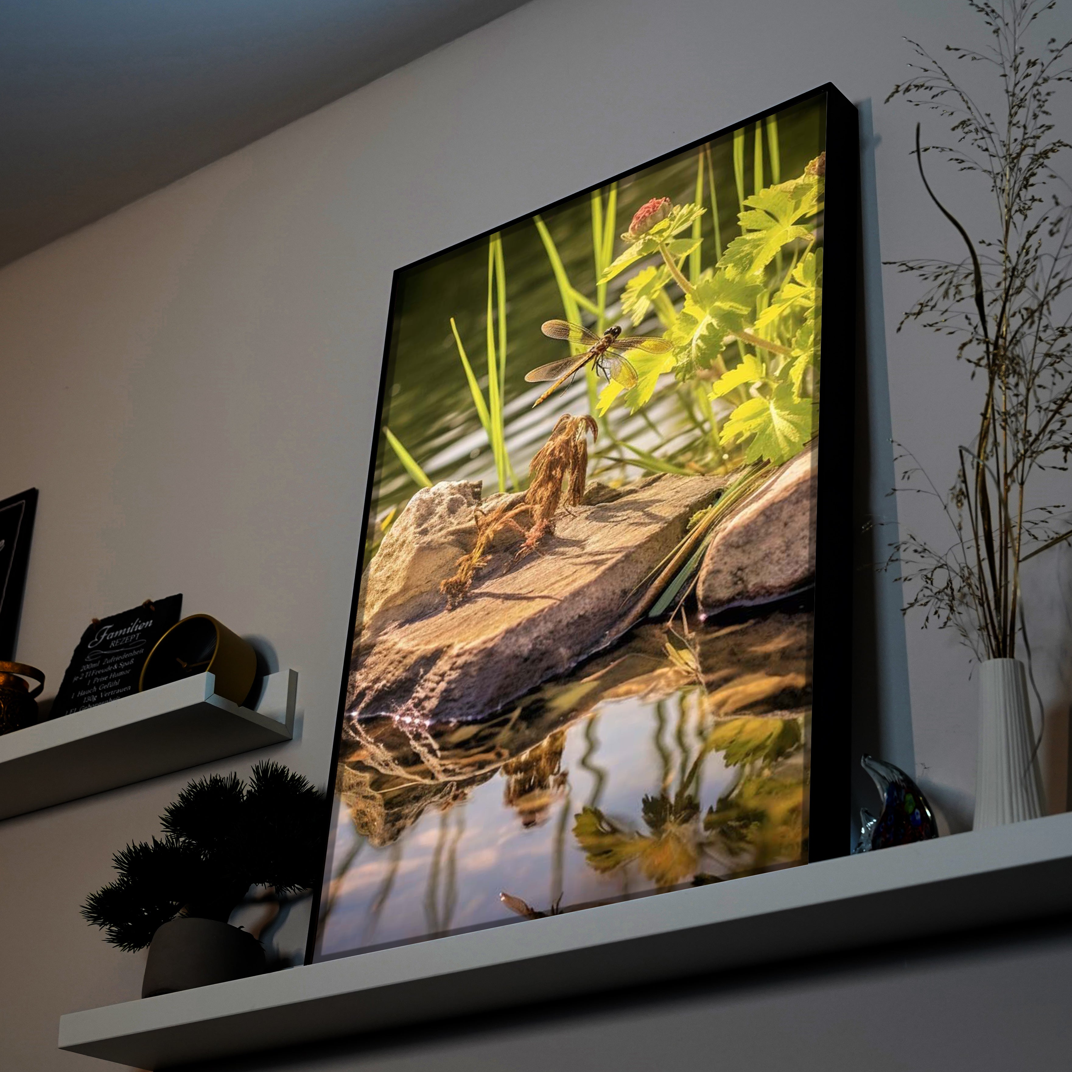 Libelle | LED Bild