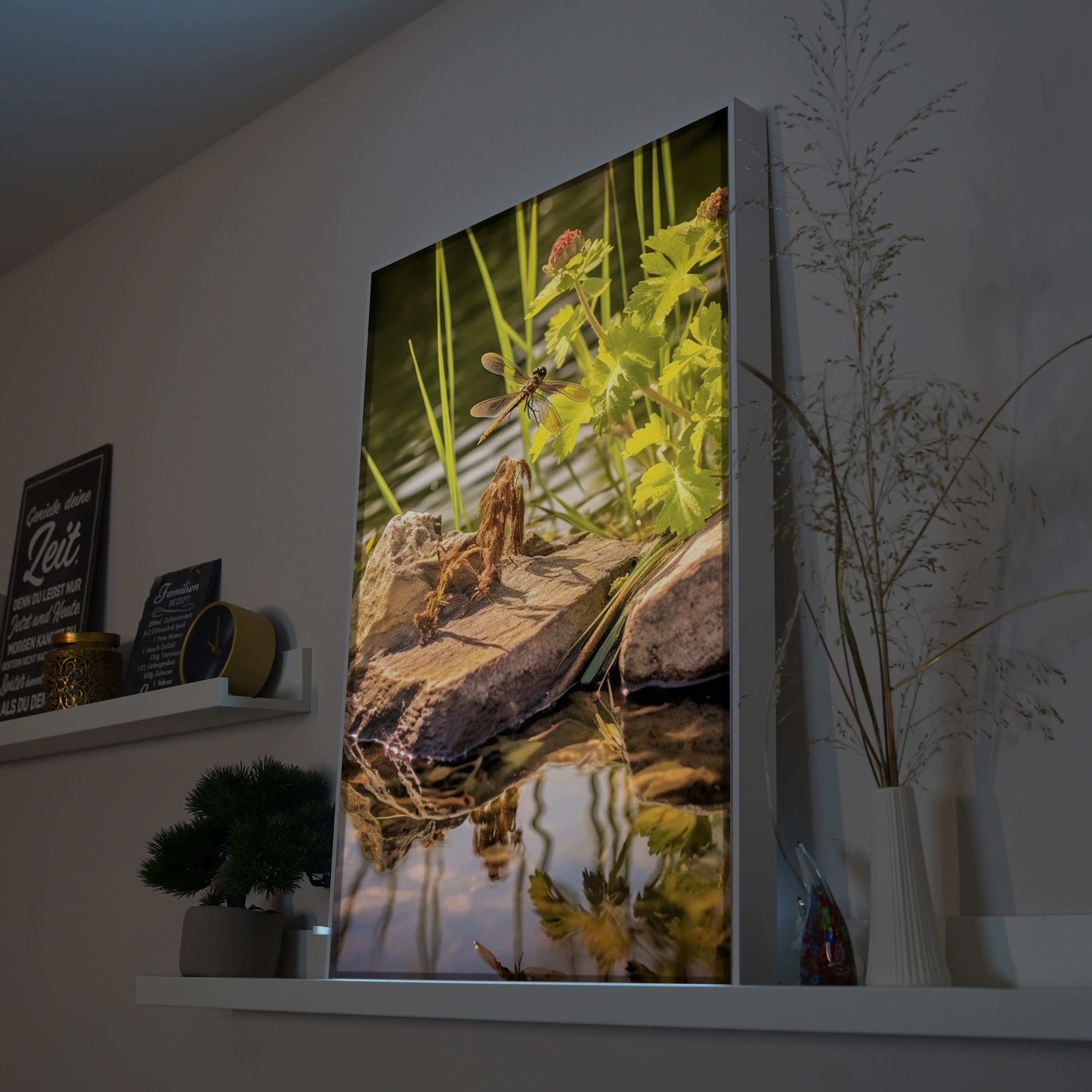 Libelle | LED Bild