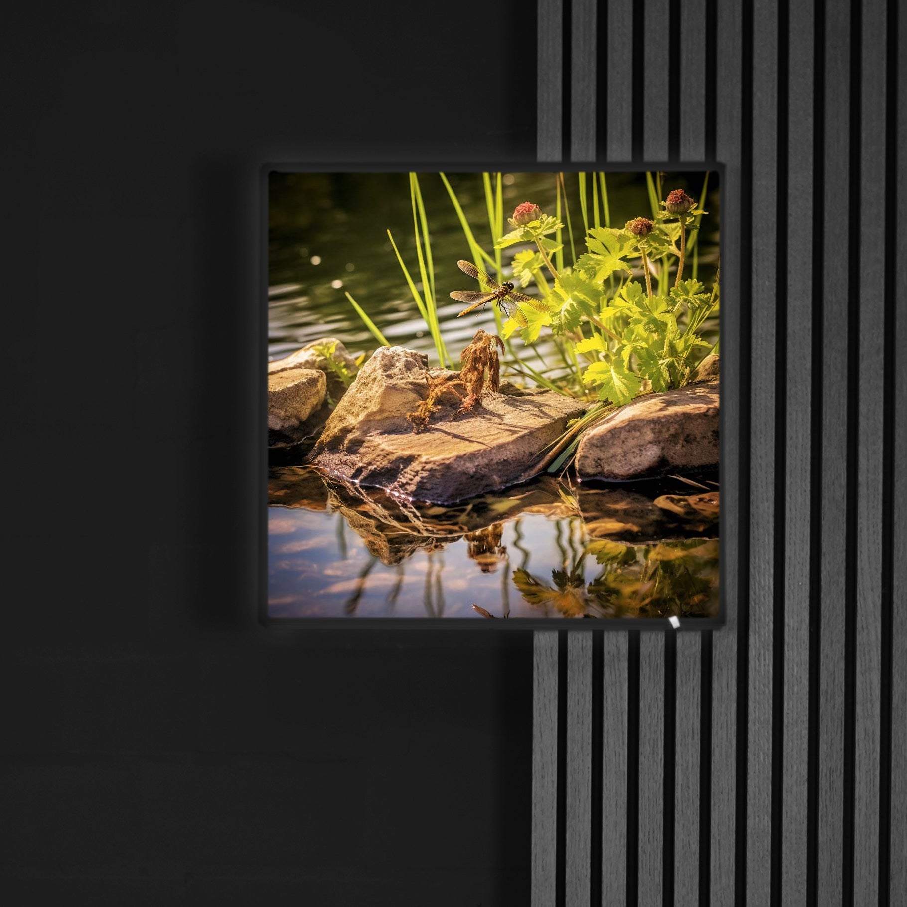 Libelle | LED Bild