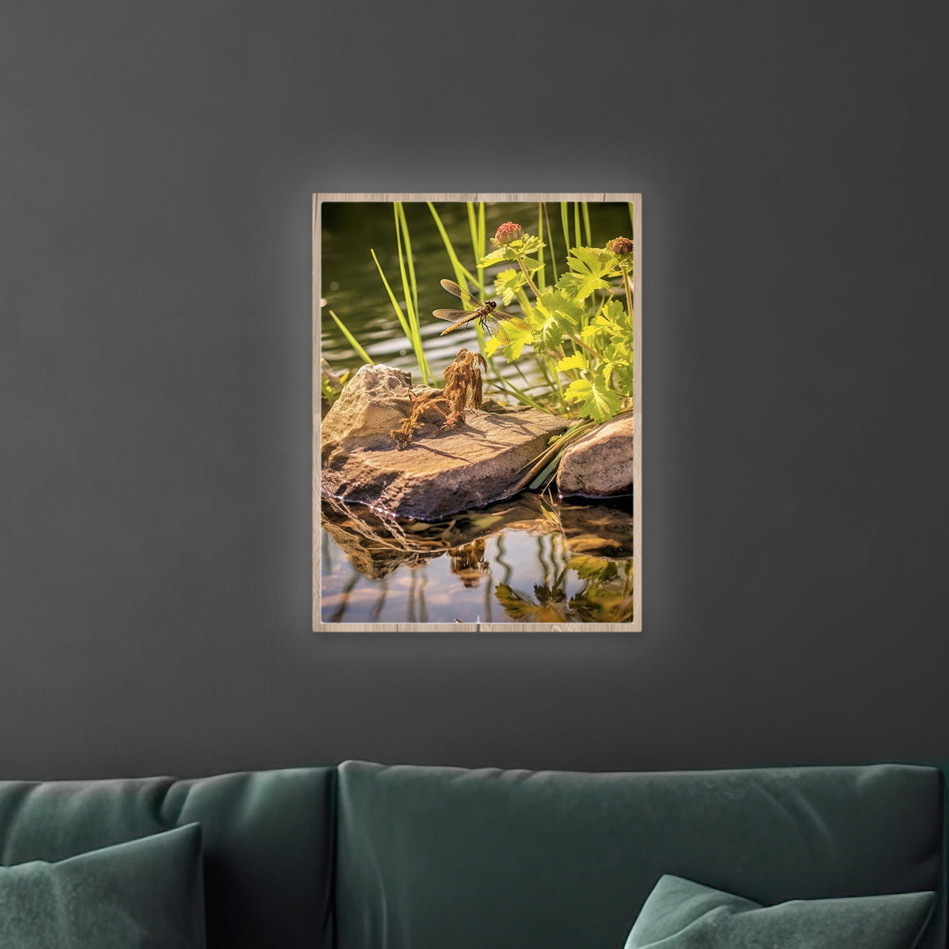 Libelle | LED Bild