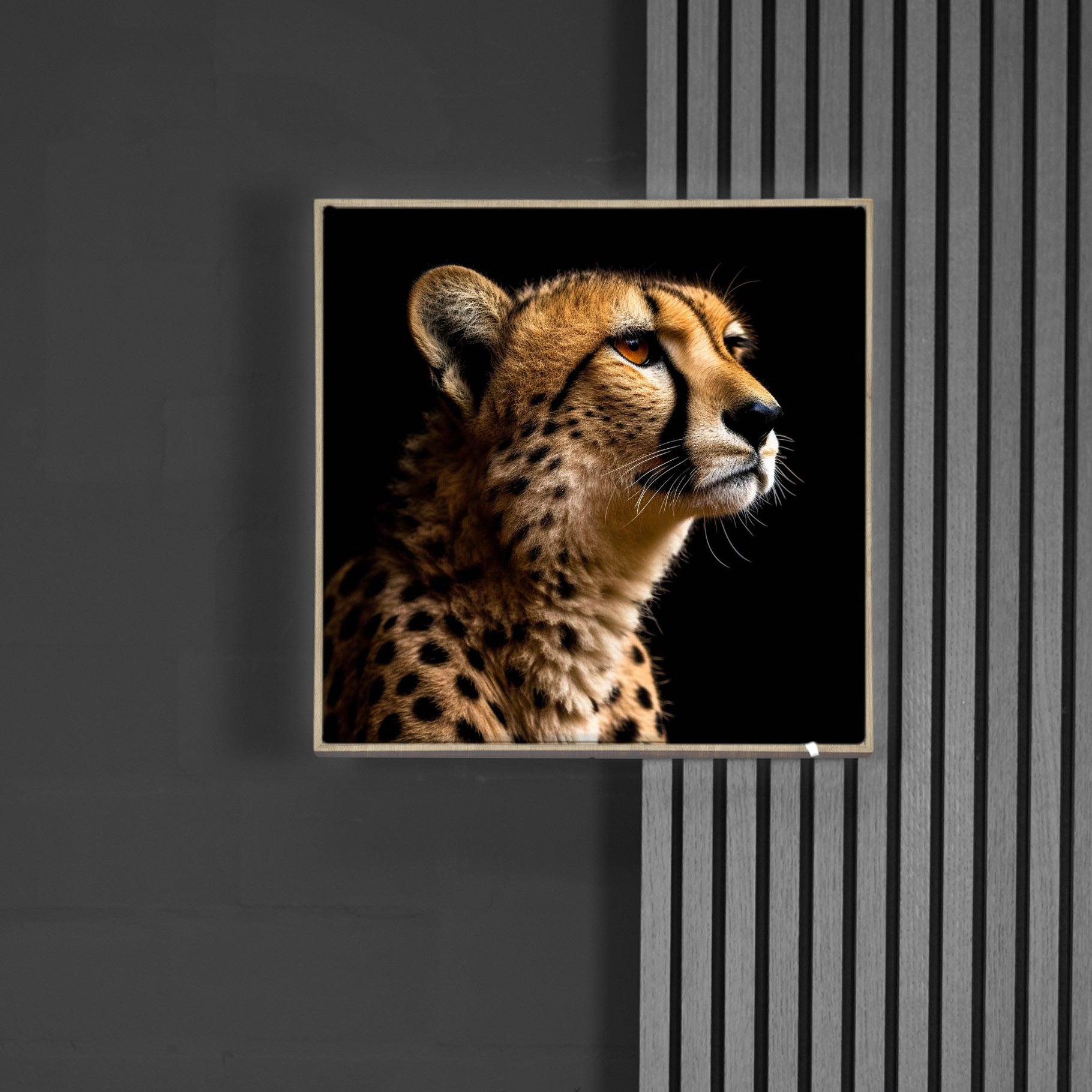 Gepard 2 | LED Bild