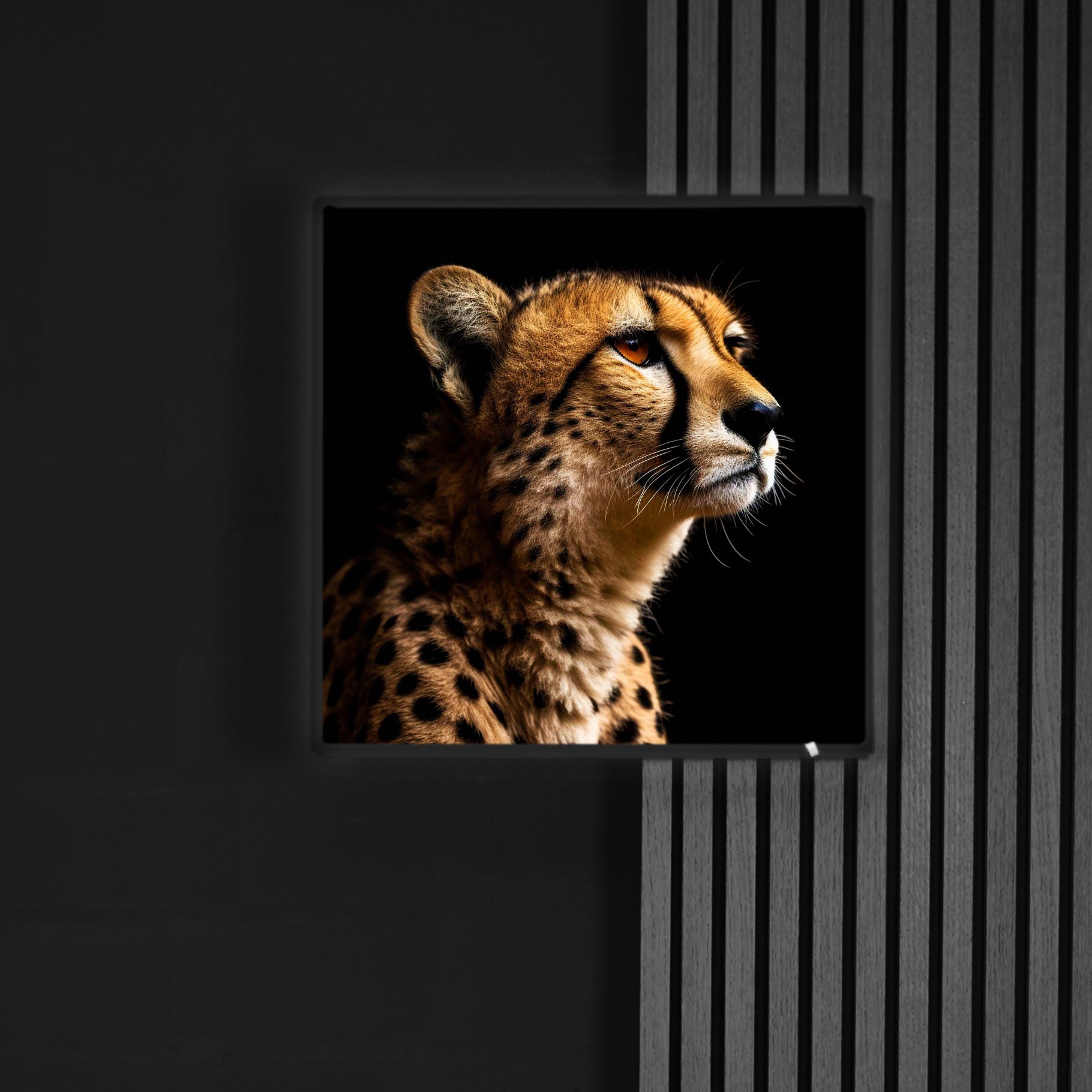 Gepard 2 | LED Bild